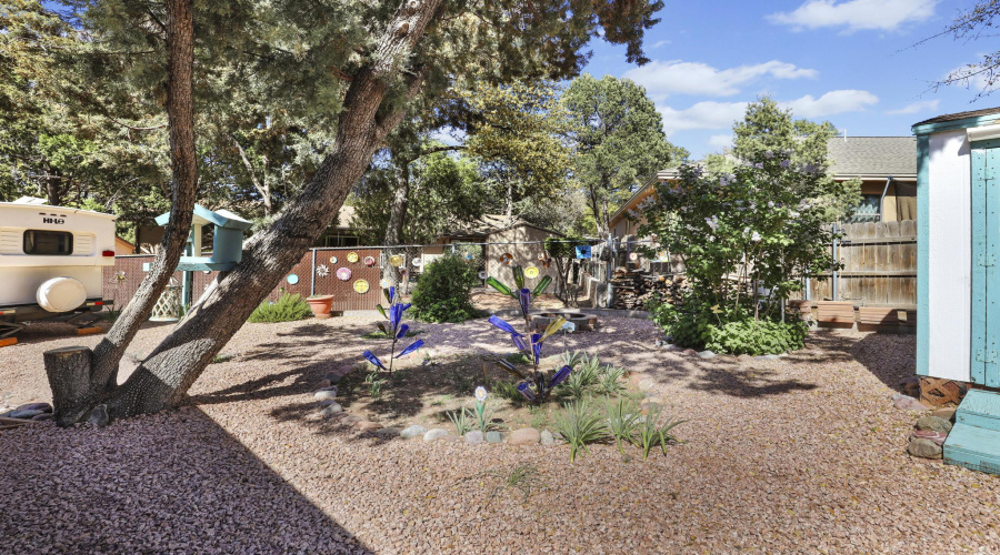 Backyard shed 21E0A0632