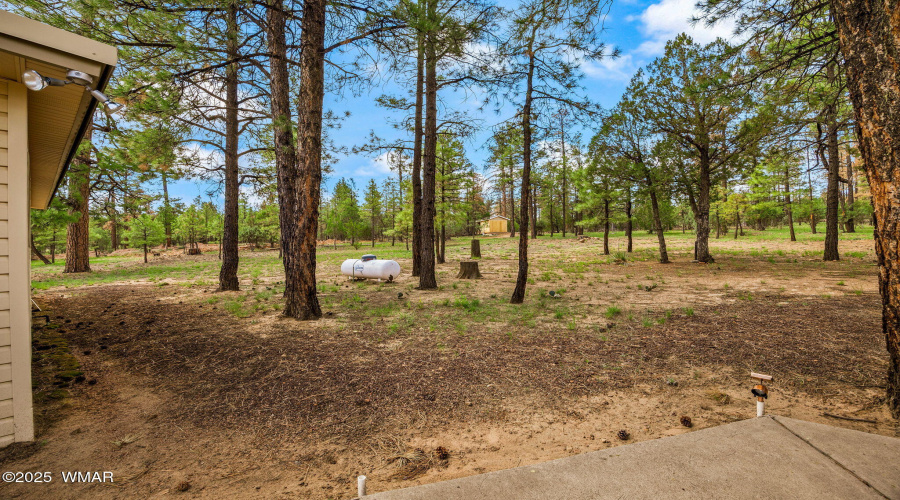 2840PineRimRd-HeberOvergaard-AZ-29