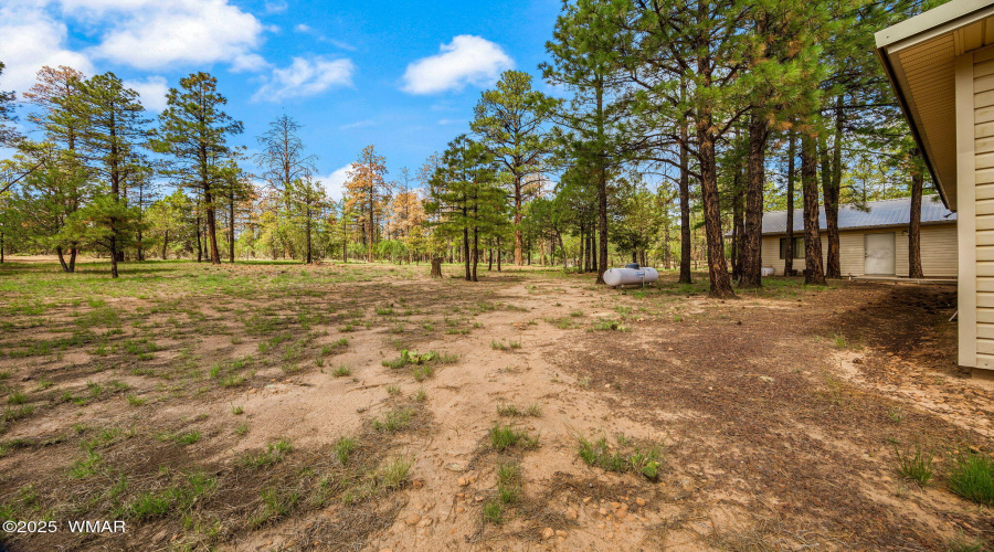2840PineRimRd-HeberOvergaard-AZ-32