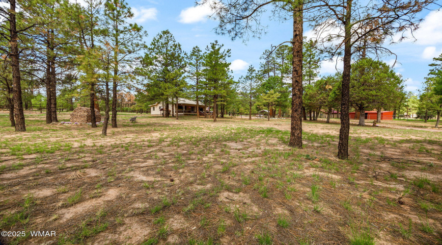 2840PineRimRd-HeberOvergaard-AZ-34