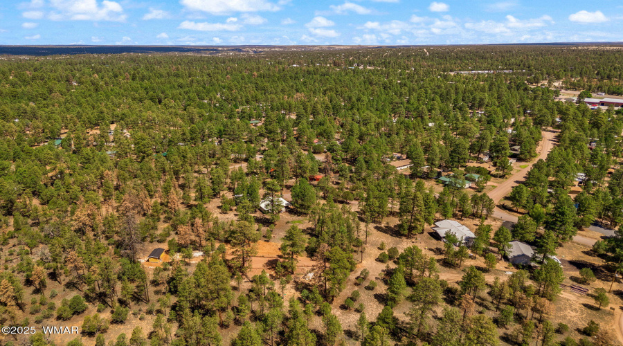 2840PineRimRd-HeberOvergaard-AZ-38