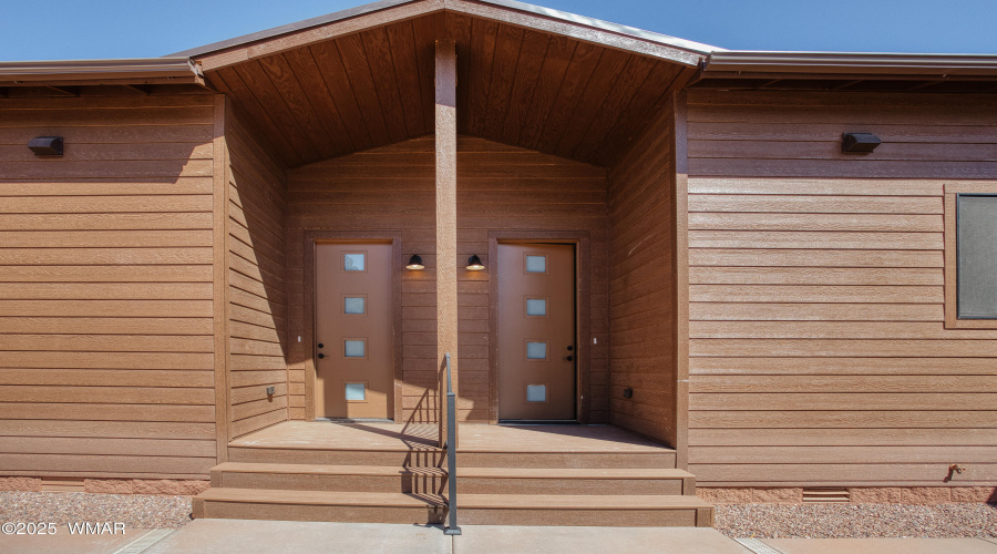 Modern Entry Doors