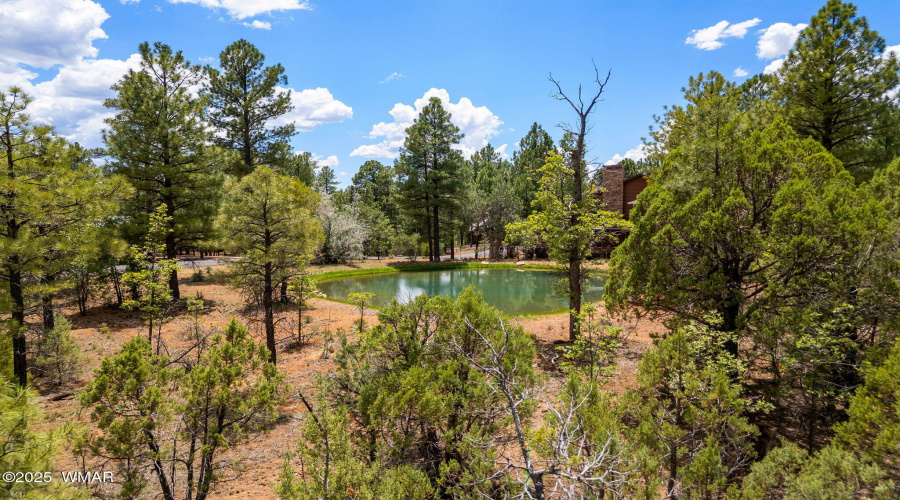 4021WRedtwigLn-ShowLow-AZ-4
