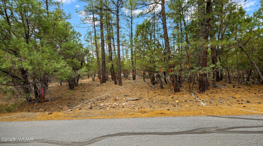 4021WRedtwigLn-ShowLow-AZ-3