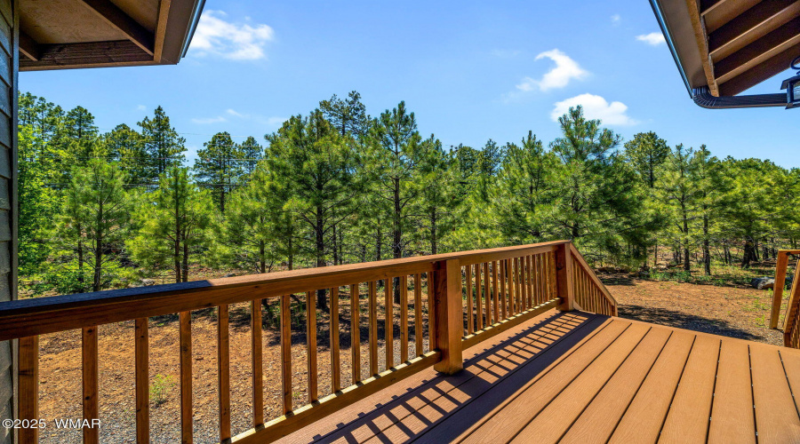 6197TontoTrail-Pinetop-AZ-24