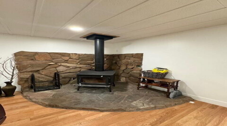 FR woodstove