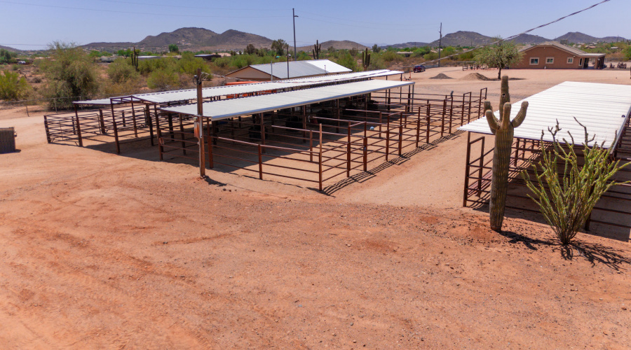 23 Stalls Combined