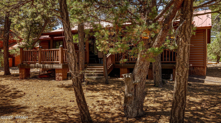 1761NBisonCt-ShowLow-AZ-23