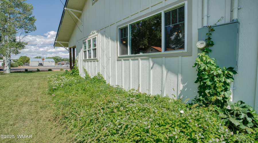 Side Yard