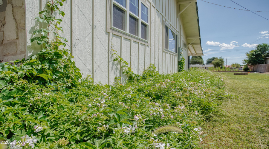 Side Yard