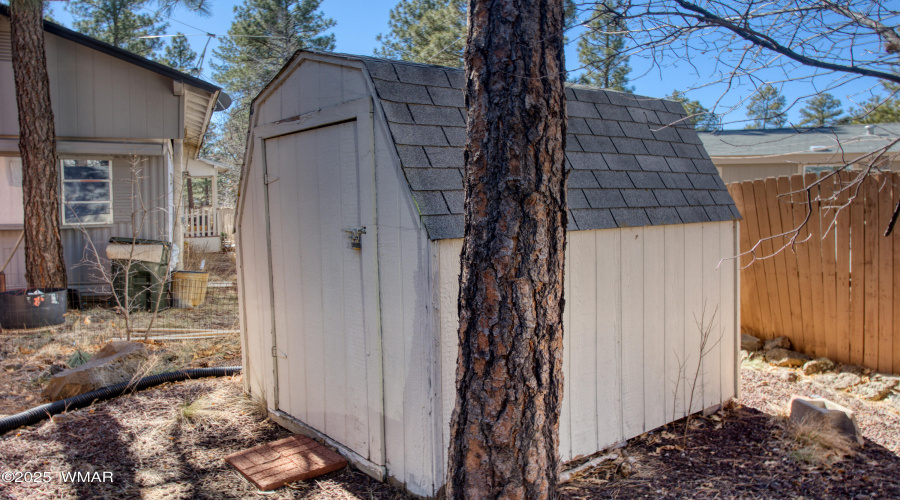 Paxmanphoto_PAX_9745