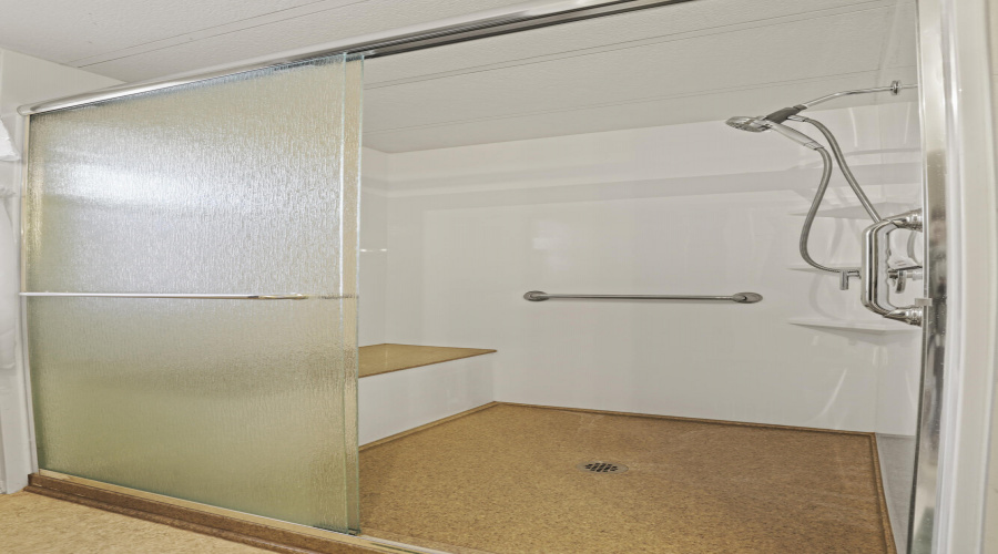 Primary Bath Walk-in Shower