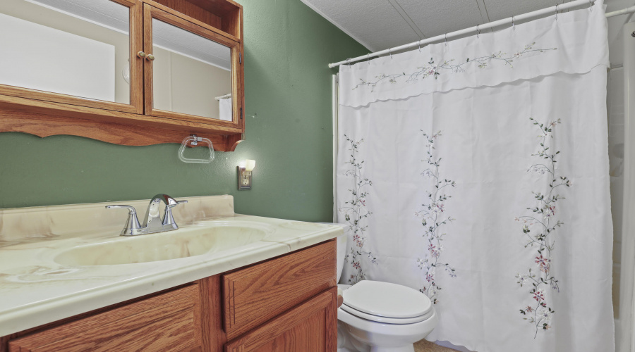 Guest Full Bathroom