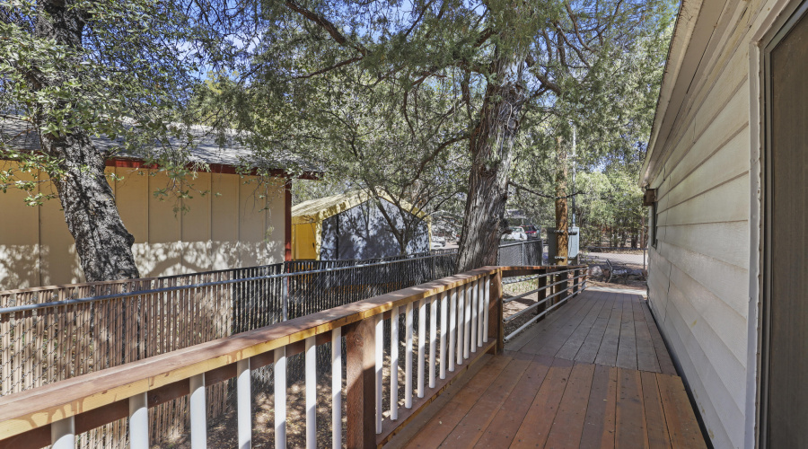 Back Deck