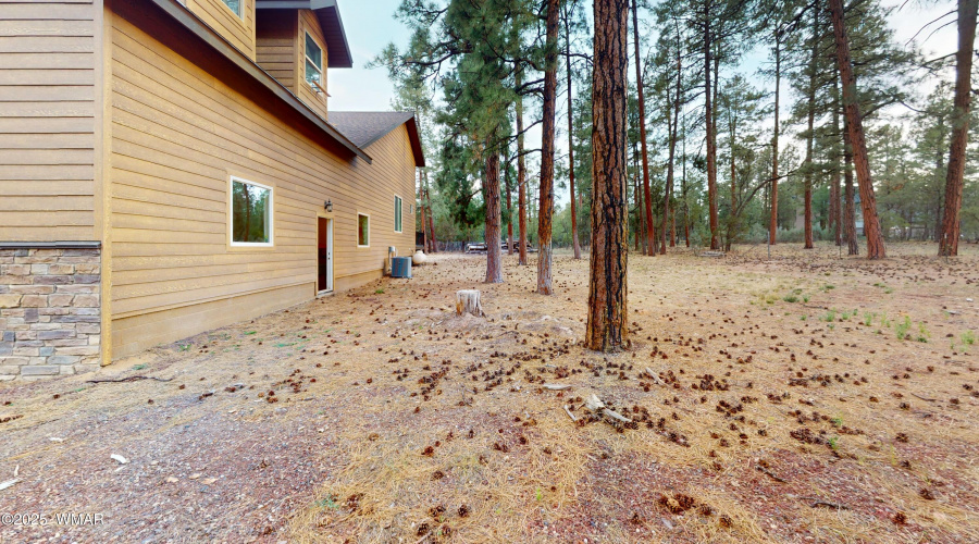Side Yard