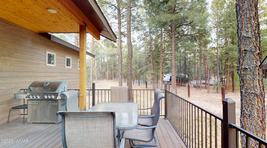 Back Deck 2