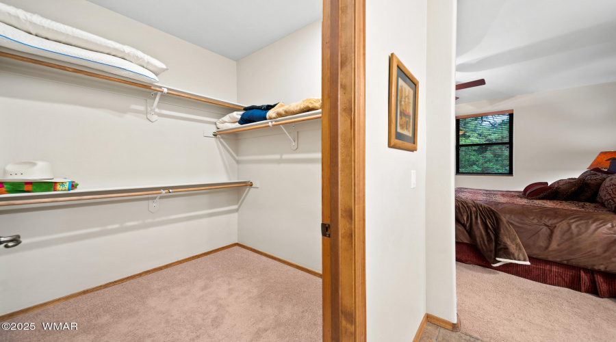Primary Closet