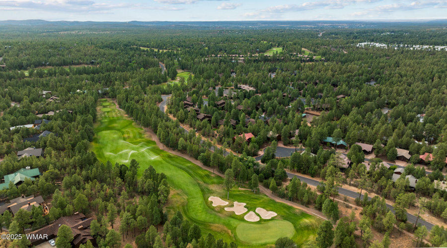 Ponderosa Pines