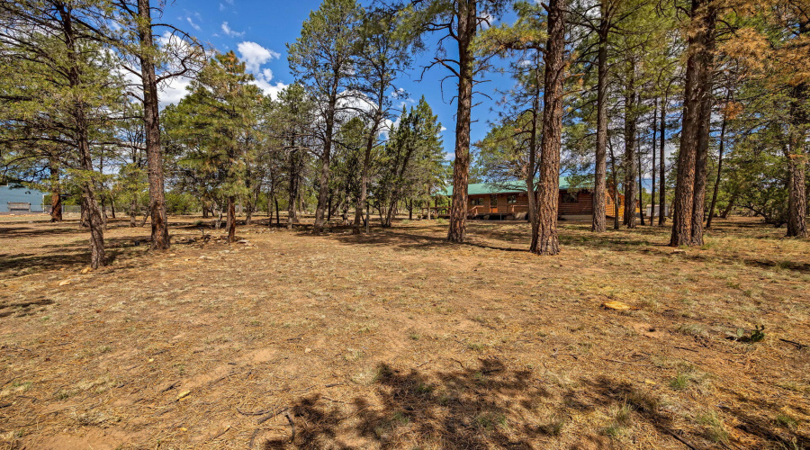 2084IndianTrail-HeberOvergaard-AZ-33
