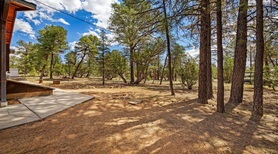 2084IndianTrail-HeberOvergaard-AZ-4