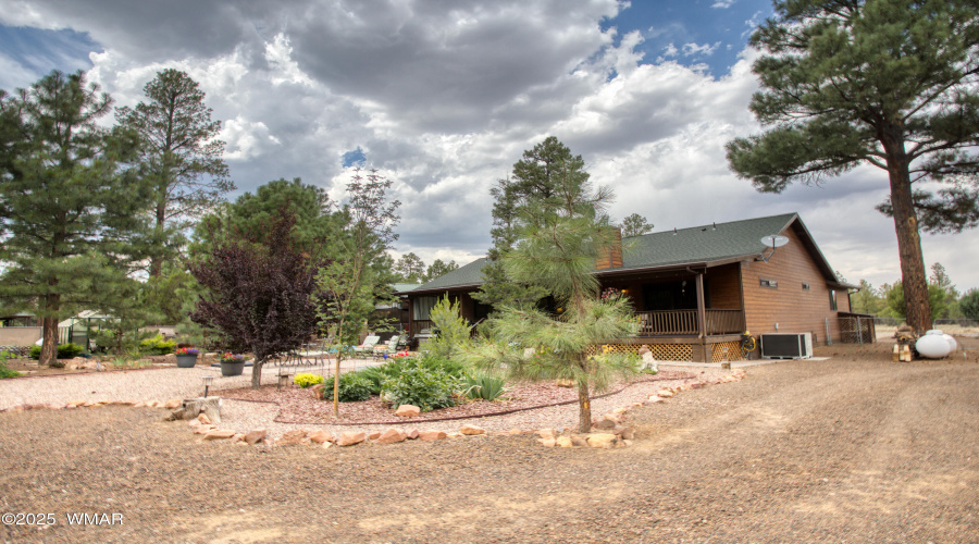 Paxmanphoto_PAX_8202
