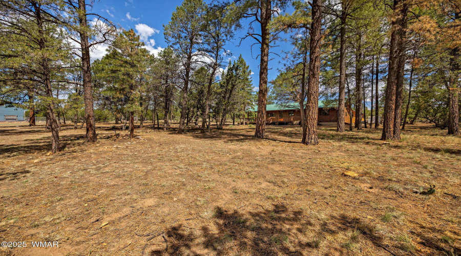 2084IndianTrail-HeberOvergaard-AZ-33