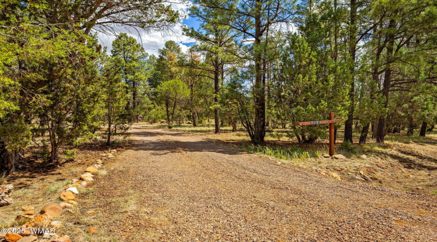 2084IndianTrail-HeberOvergaard-AZ-37