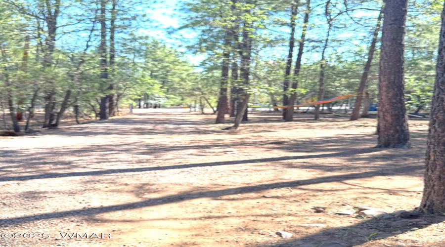 Front land view