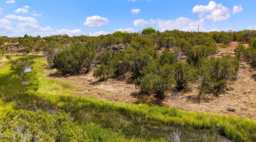 Silver Creek