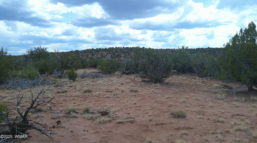 DSCF0003