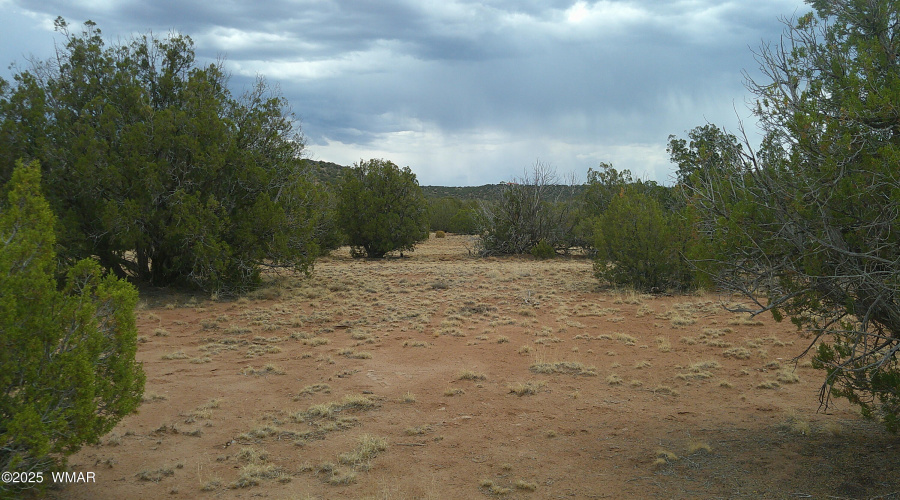 DSCF0005