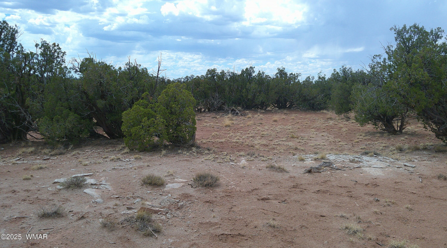 DSCF0006