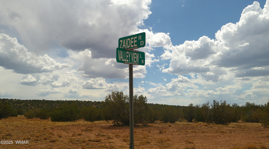 DSCF0020