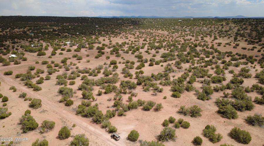 DJI_0029