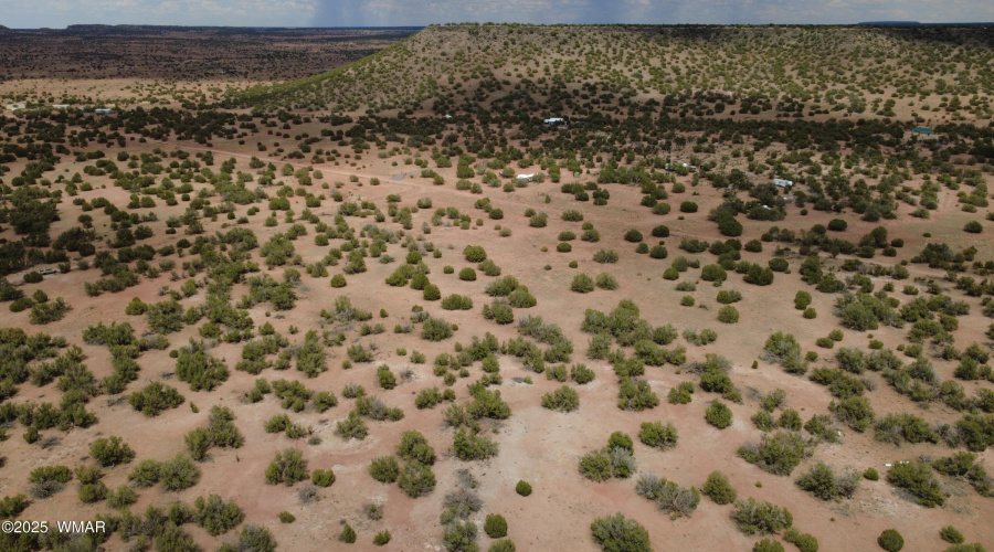 DJI_0031