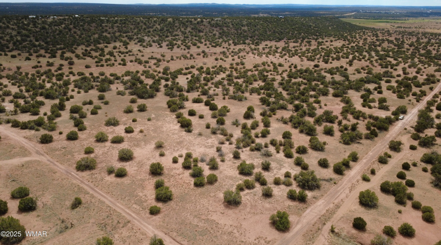 DJI_0032