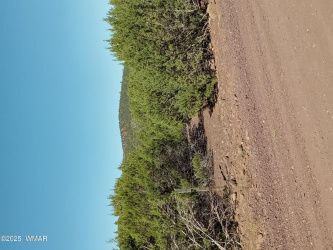 Vacant land for sale in Vernon AZ