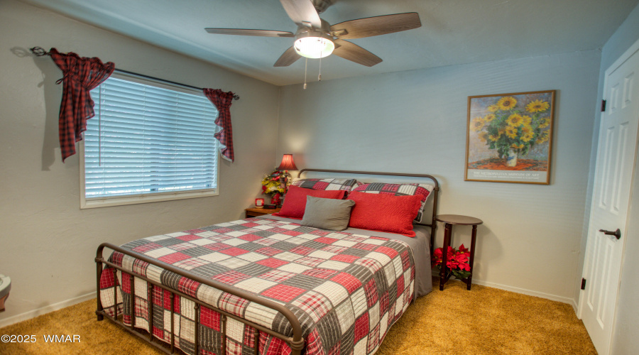 Paxmanphoto_PAX_8086