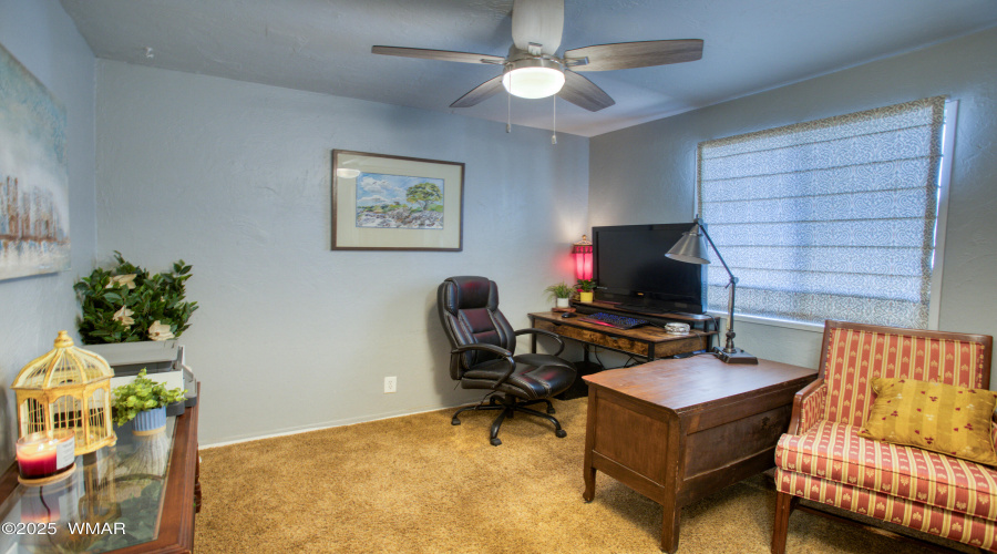 Paxmanphoto_PAX_8084