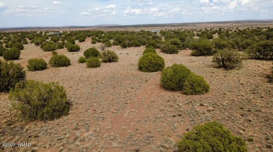 lot view
