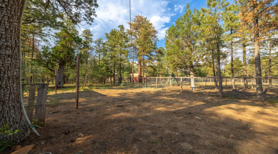 2710HooksWay-Heber-AZ-Extras-4