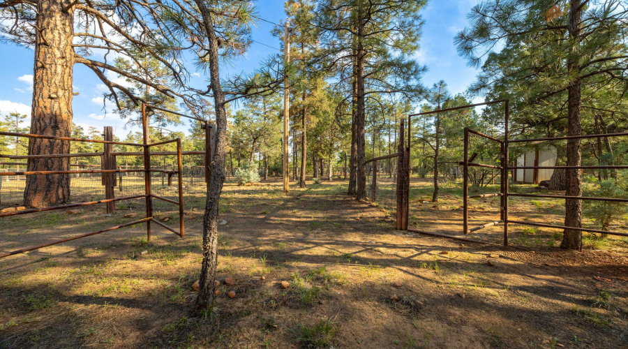 2710HooksWay-Heber-AZ-Extras-5
