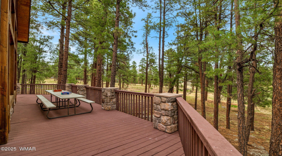 36CoRdN2147-Alpine-AZ-34