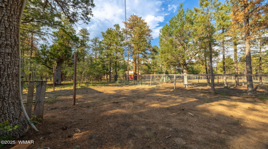 2710HooksWay-Heber-AZ-Extras-4