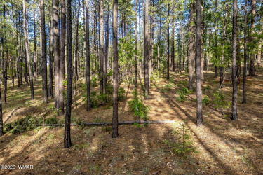 15CoRd2083-Alpine-AZ-1