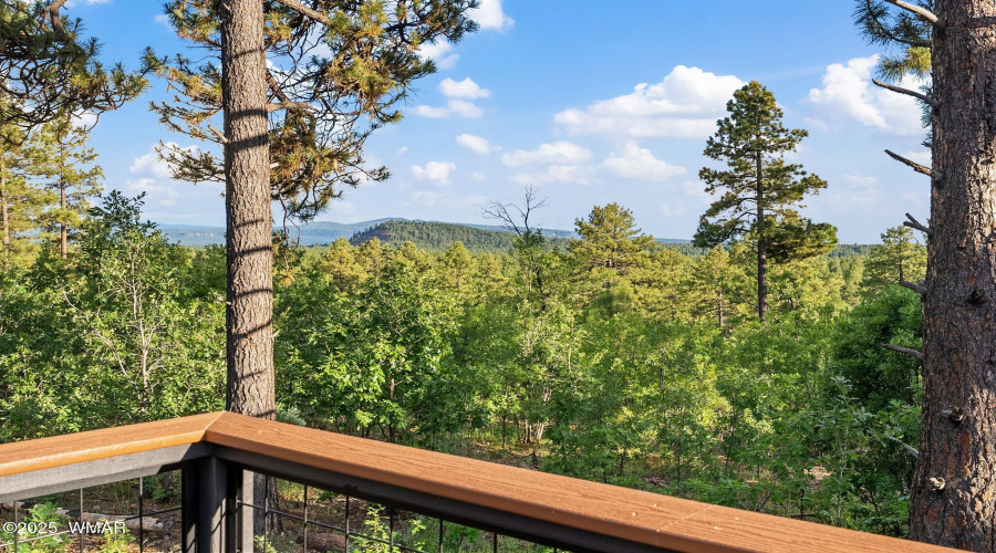 Top of The Pines