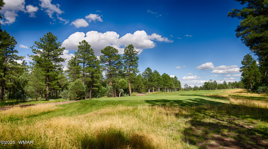 paxmanphotography1-