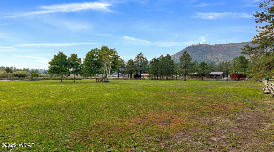 51MainSt-Greer-AZ-70
