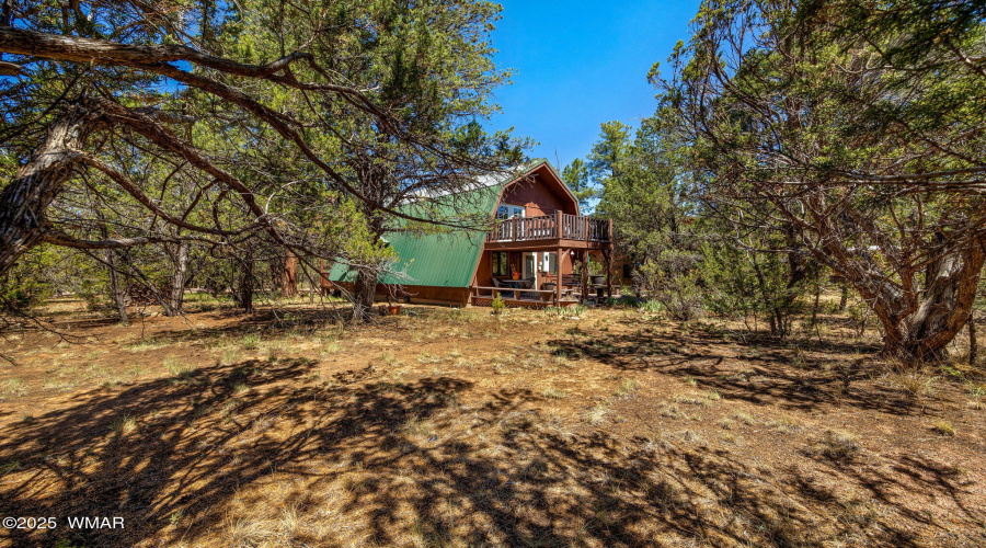 3383TurkeyRun-Heber-AZ-25