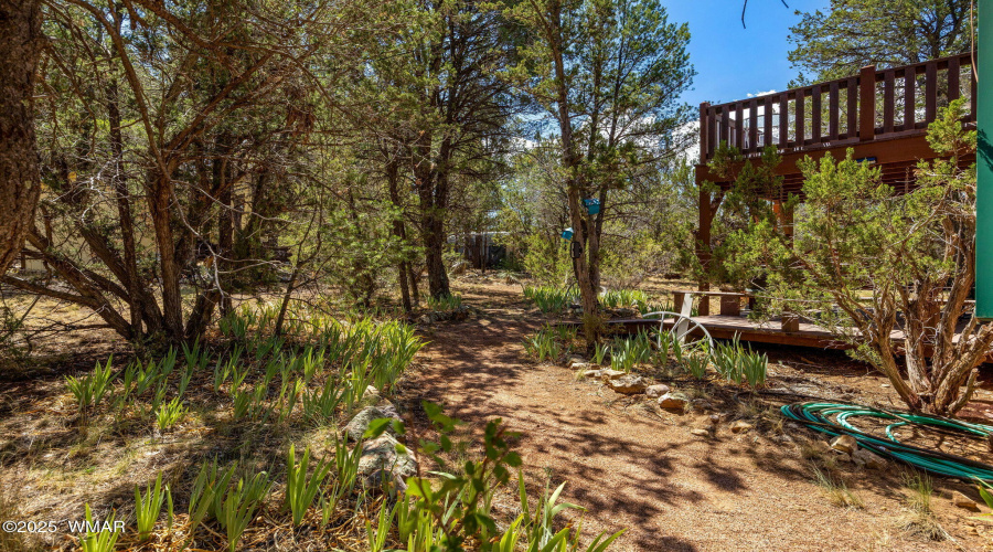 3383TurkeyRun-Heber-AZ-26